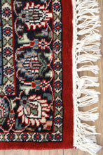 Hibiscus Kerman Shah
